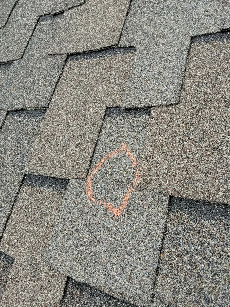 Slide of No Zombies Roofing