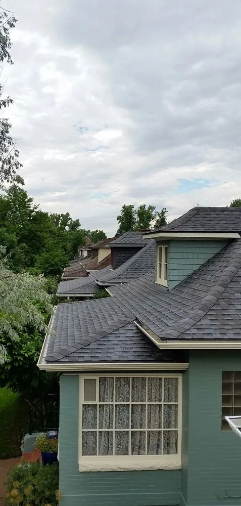 Slide of No Zombies Roofing