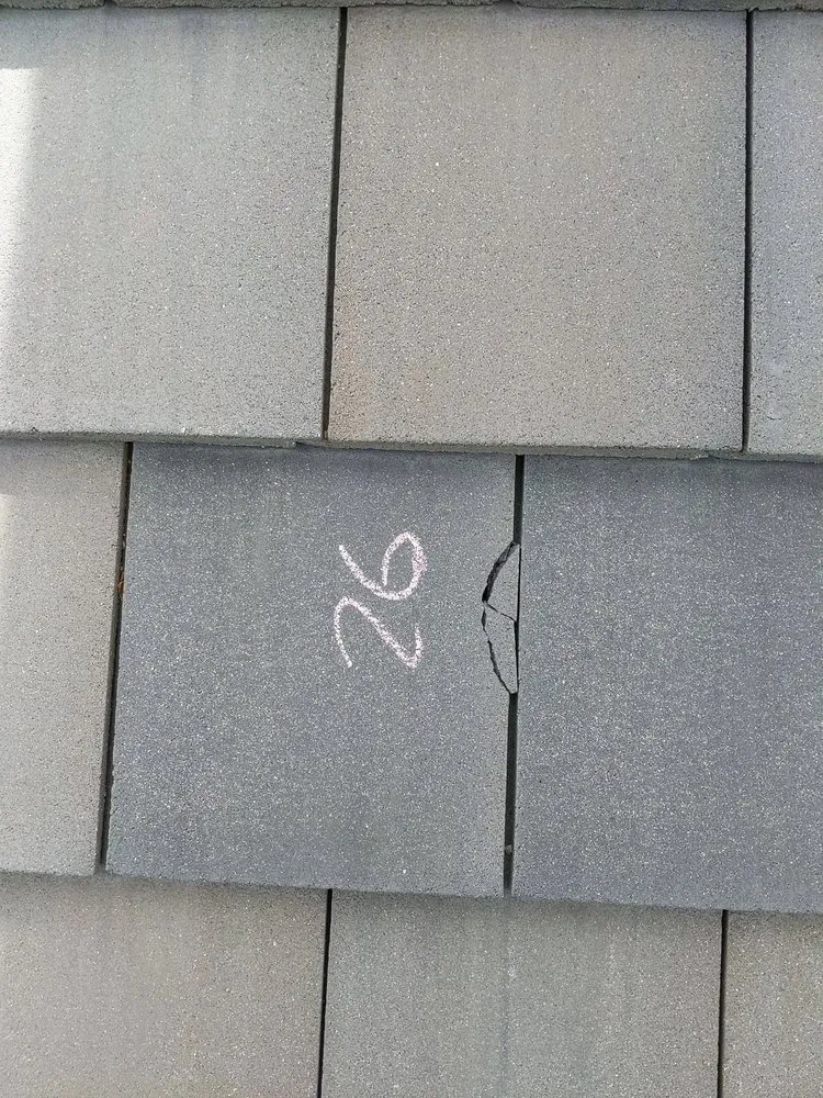 Slide of No Zombies Roofing