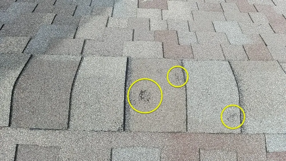 Slide of No Zombies Roofing