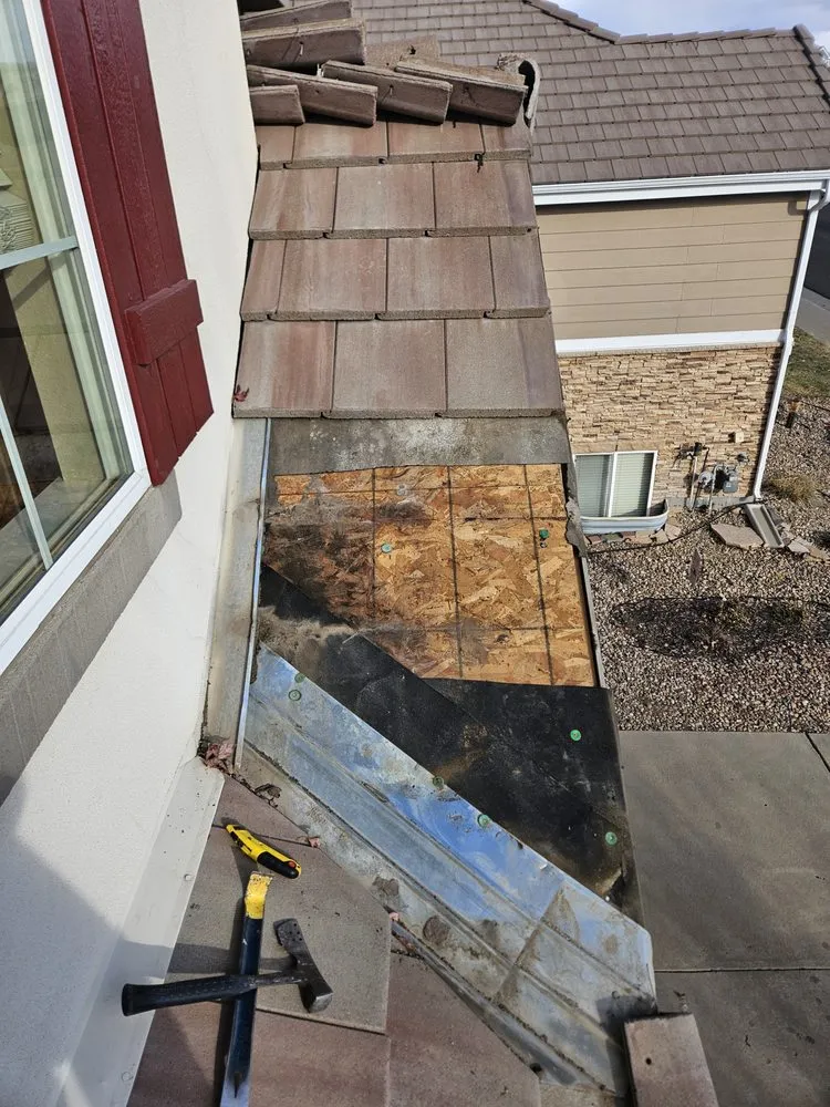 Slide of No Zombies Roofing