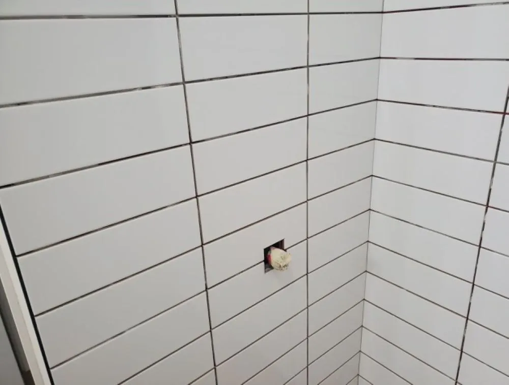 Slide of Noah's Ark Construction