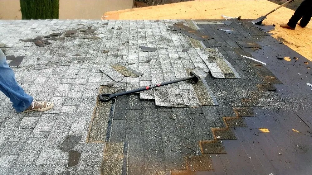 Slide of Noah's Ark Roofing