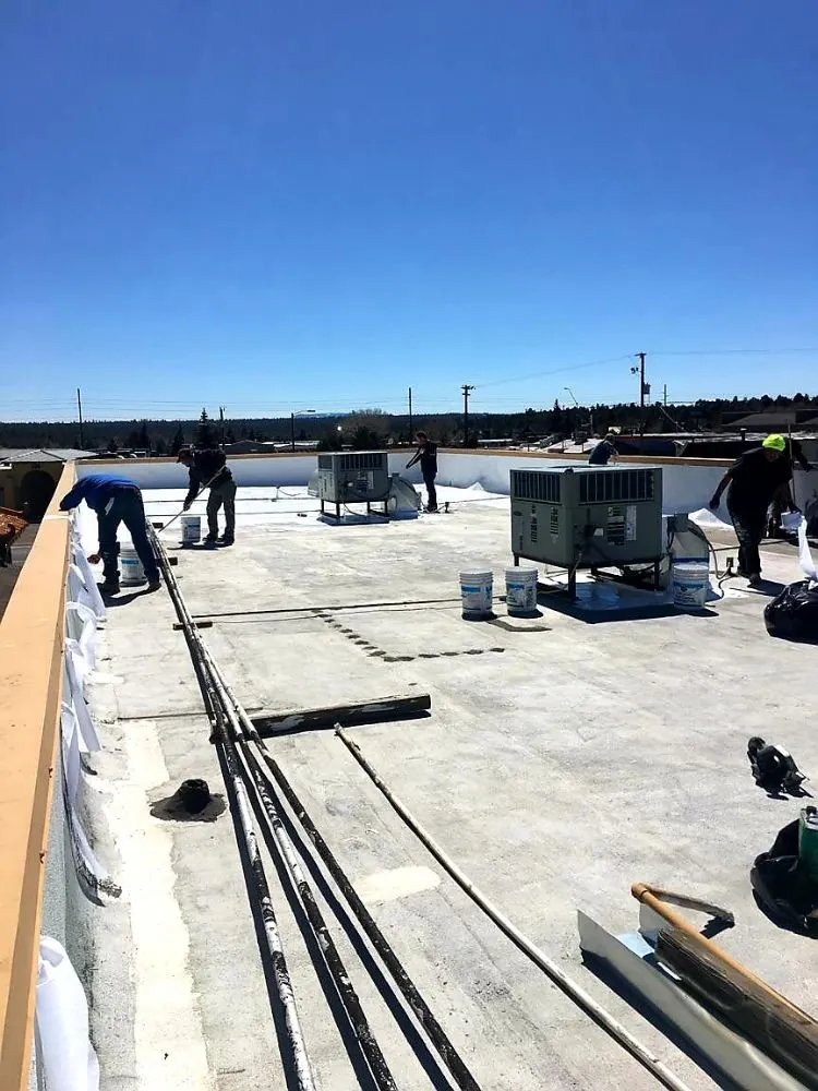 Slide of Noah's Ark Roofing