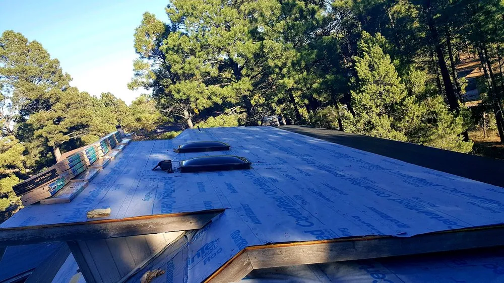 Slide of Noah's Ark Roofing