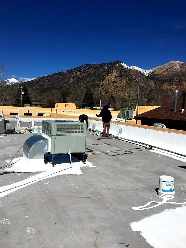 Slide of Noah's Ark Roofing