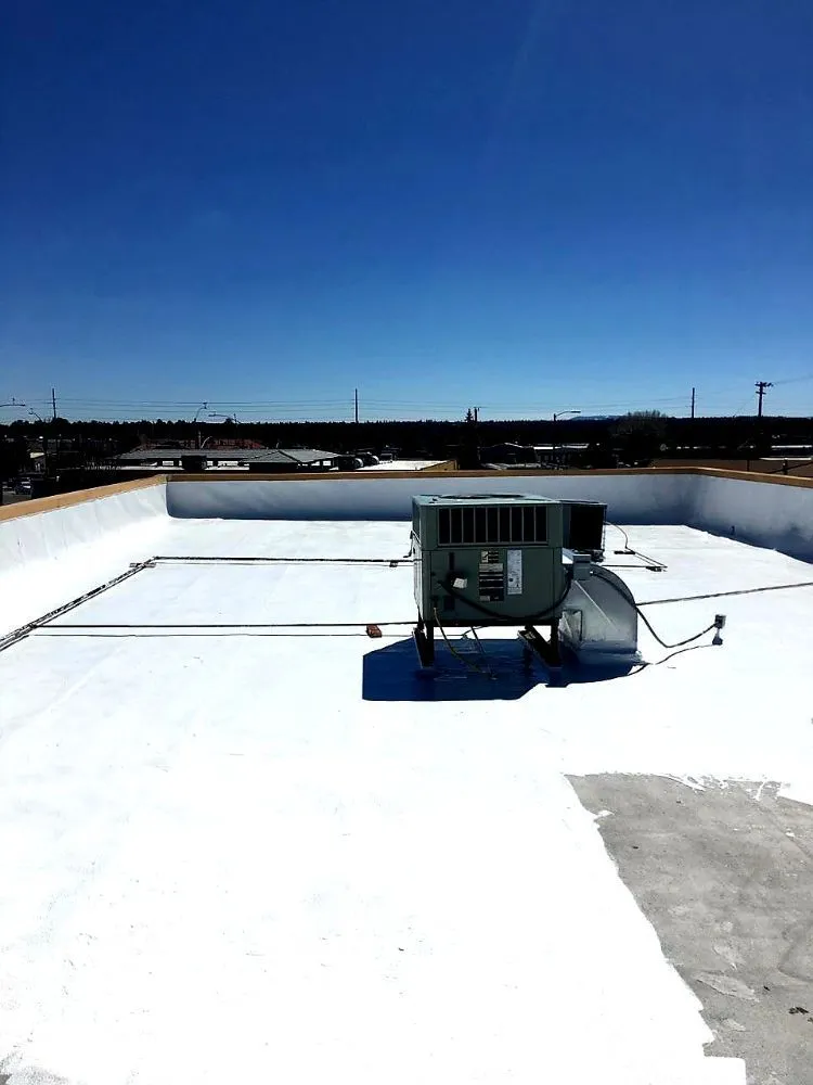 Slide of Noah's Ark Roofing