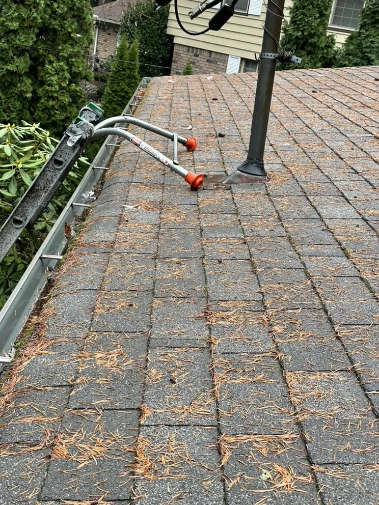 Slide of Noah's Roof Cleaning