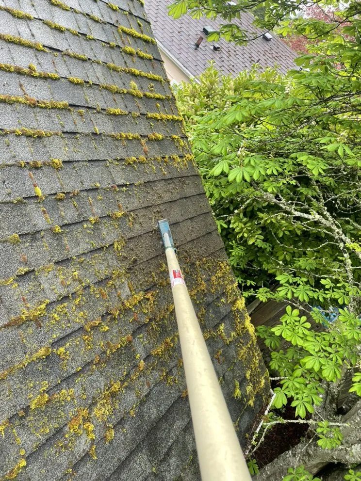 Slide of Noah's Roof Cleaning