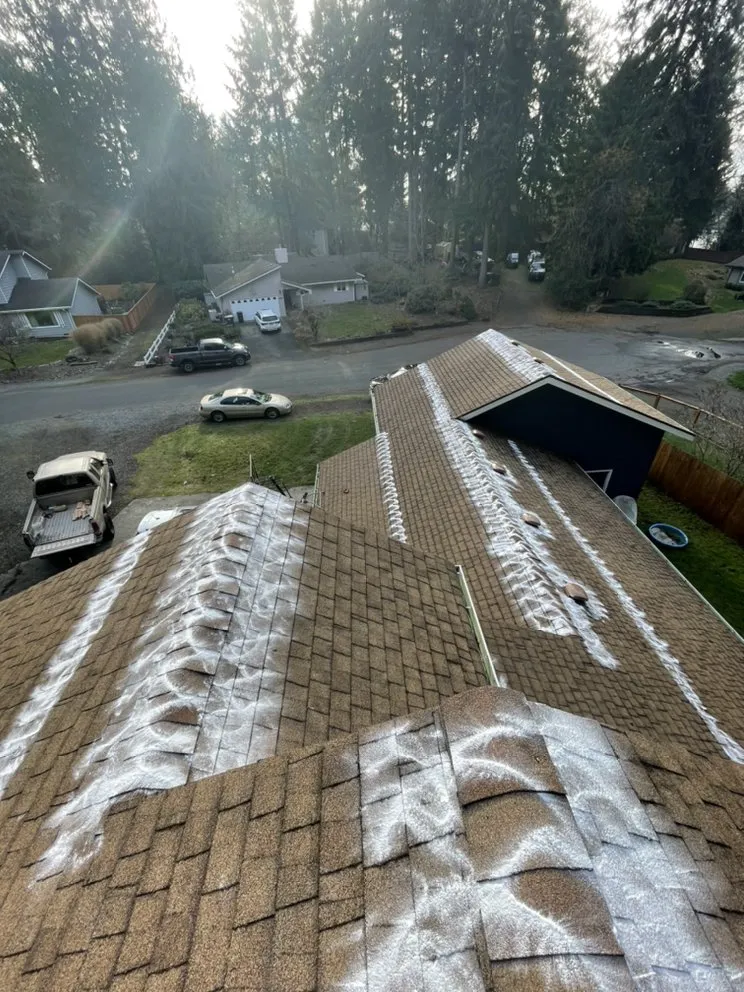 Slide of Noah's Roof Cleaning