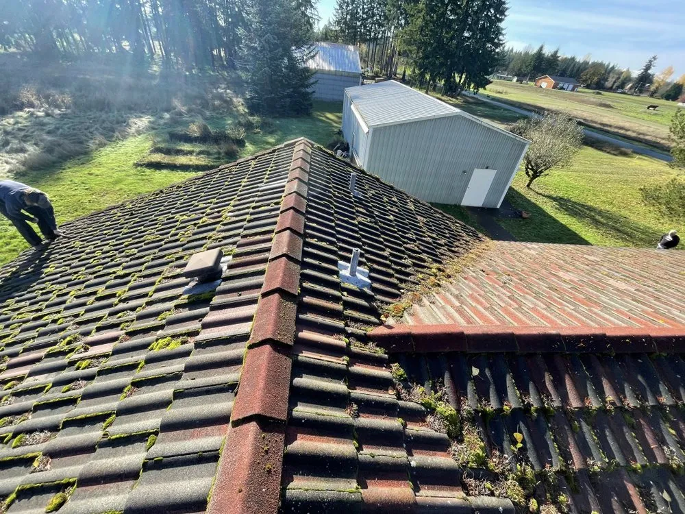 Slide of Noah's Roof Cleaning