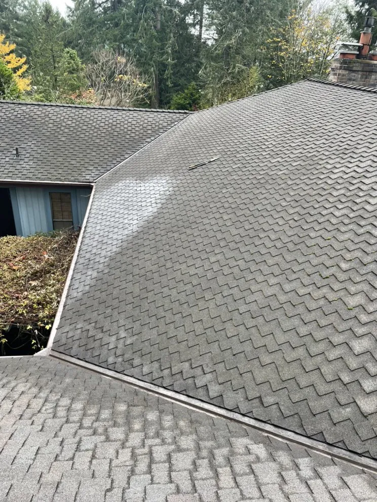 Slide of Noah's Roof Cleaning