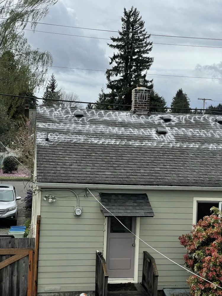 Slide of Noah's Roof Cleaning