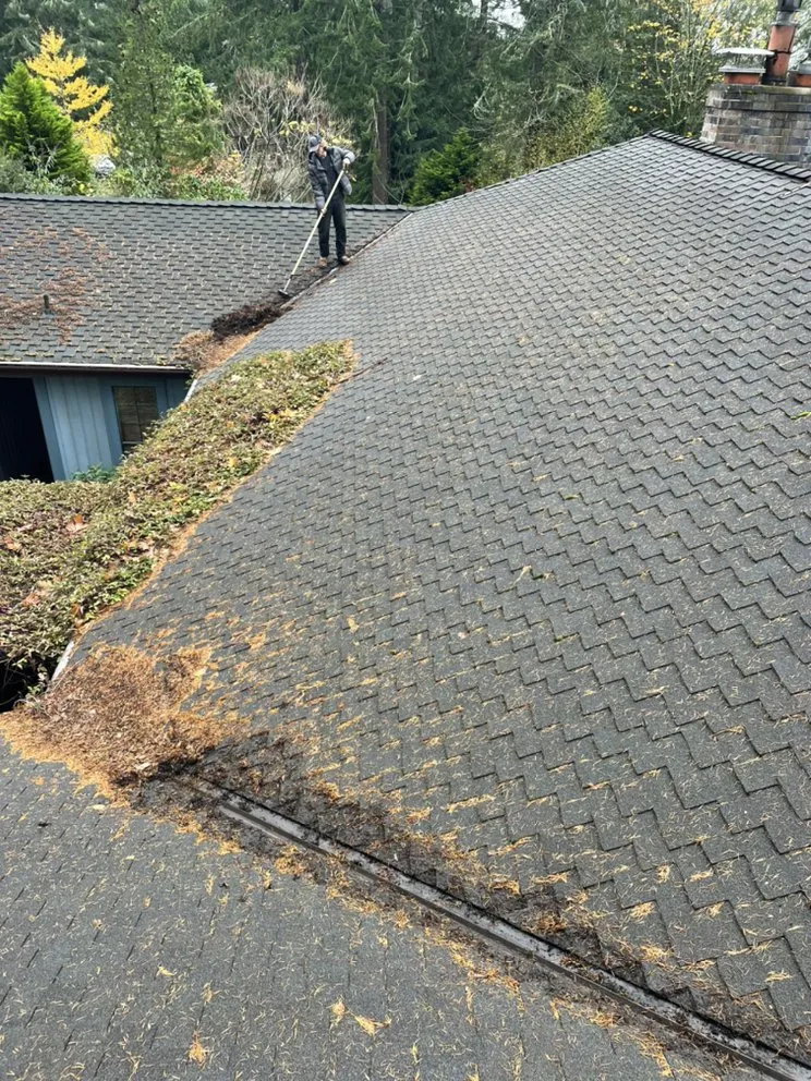 Slide of Noah's Roof Cleaning
