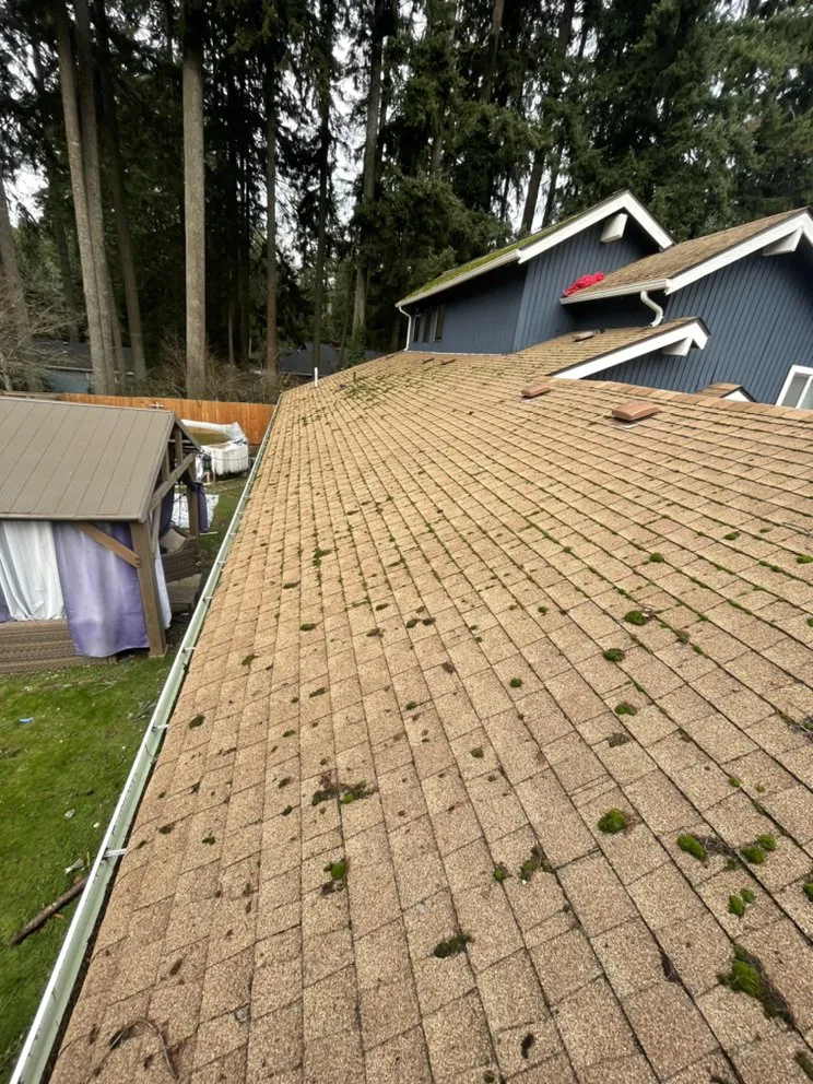 Slide of Noah's Roof Cleaning