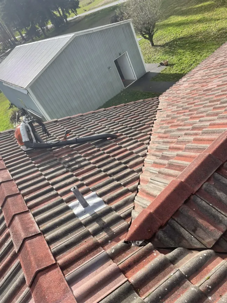 Slide of Noah's Roof Cleaning