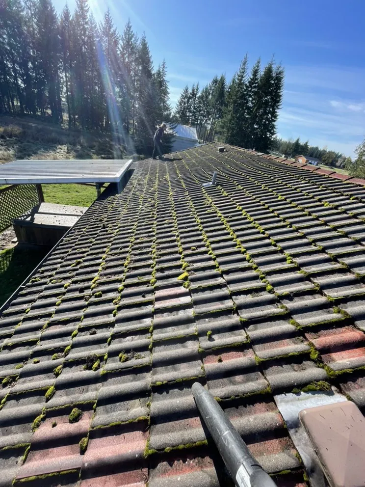 Slide of Noah's Roof Cleaning