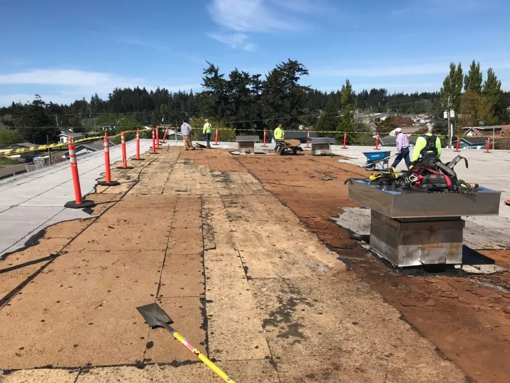 Slide of Noah’s roofing