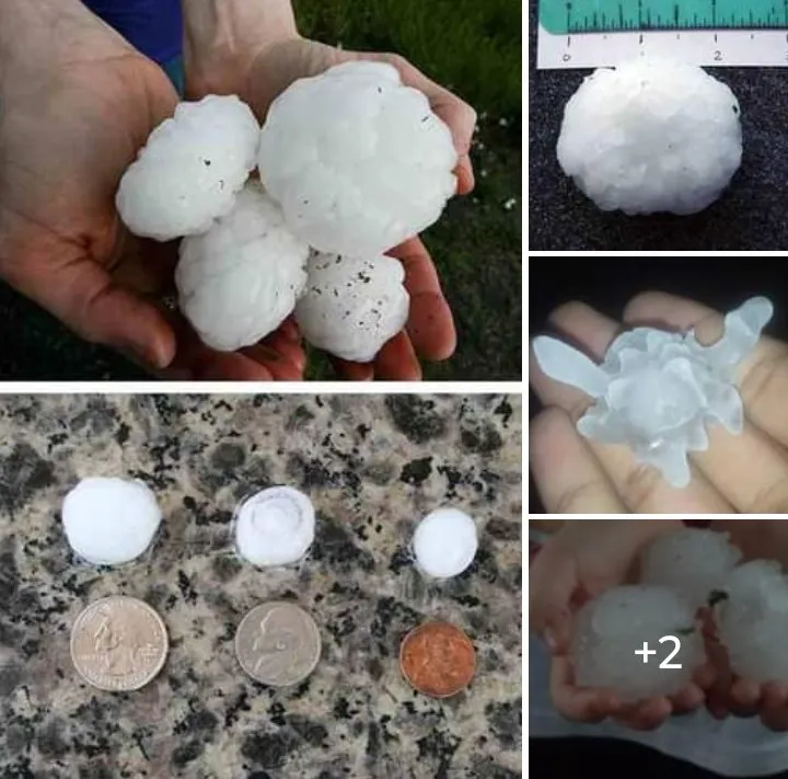 Slide of Nordhoff Roofing