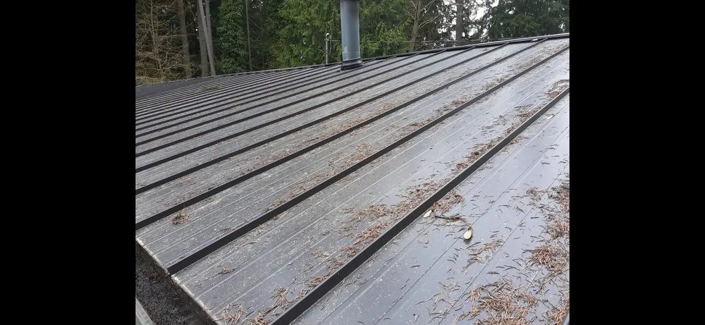 Slide of Nordic Beast Exterior Services