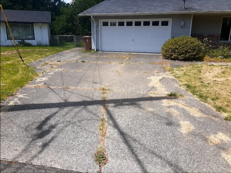 Slide of Nordic Beast Exterior Services