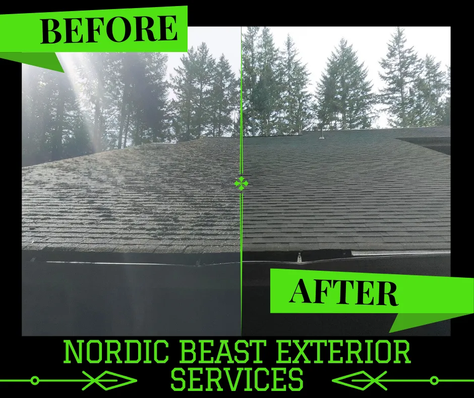 Slide of Nordic Beast Exterior Services