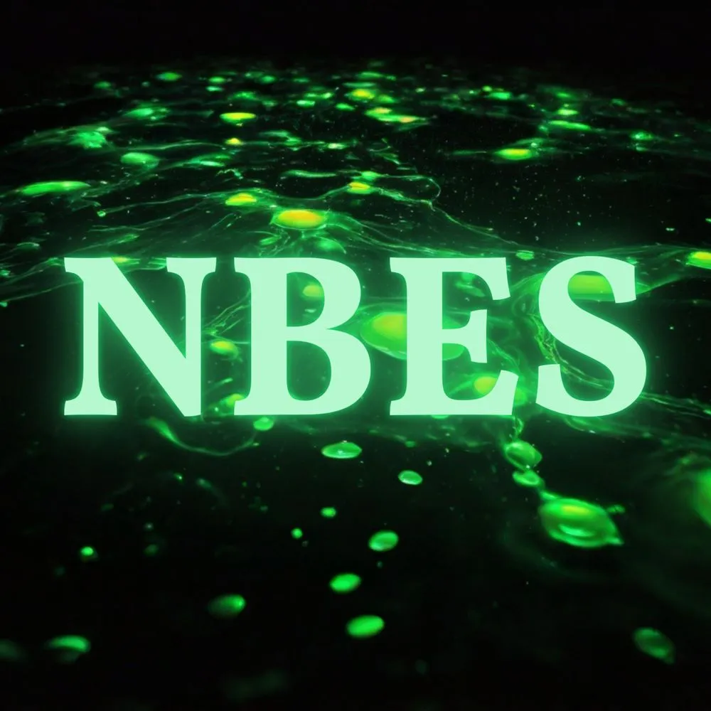 Slide of Nordic Beast Exterior Services