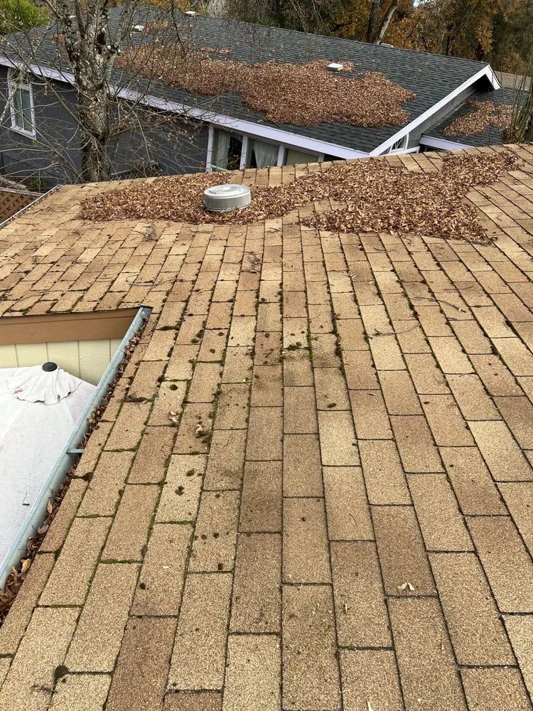 Slide of North Coast Roof & Gutter Cleaning