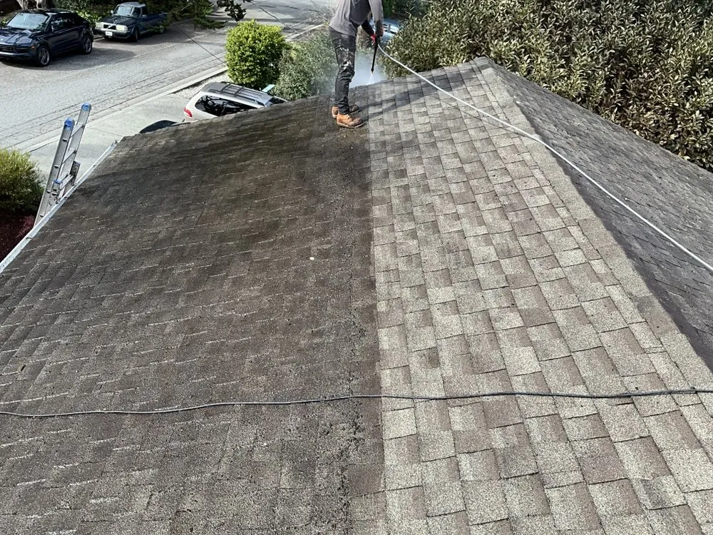 Slide of North Roof Cleaning