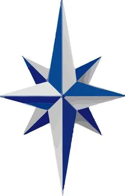 North Star Services Group Logo