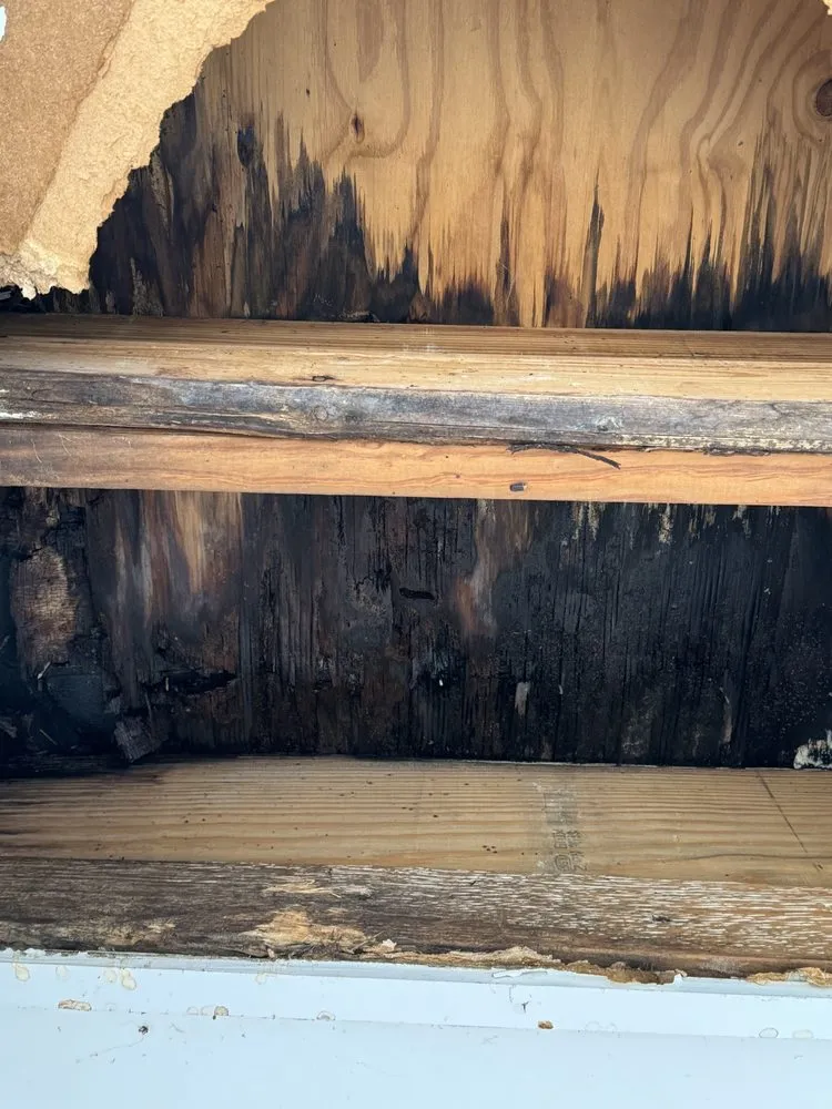 Slide of North Texas Restoration