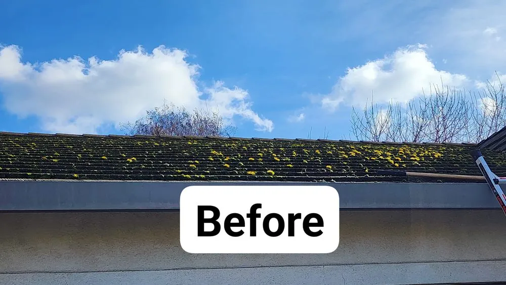 Slide of North West Fresh Roof