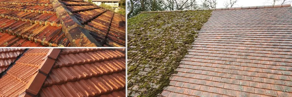 Slide of North West Fresh Roof