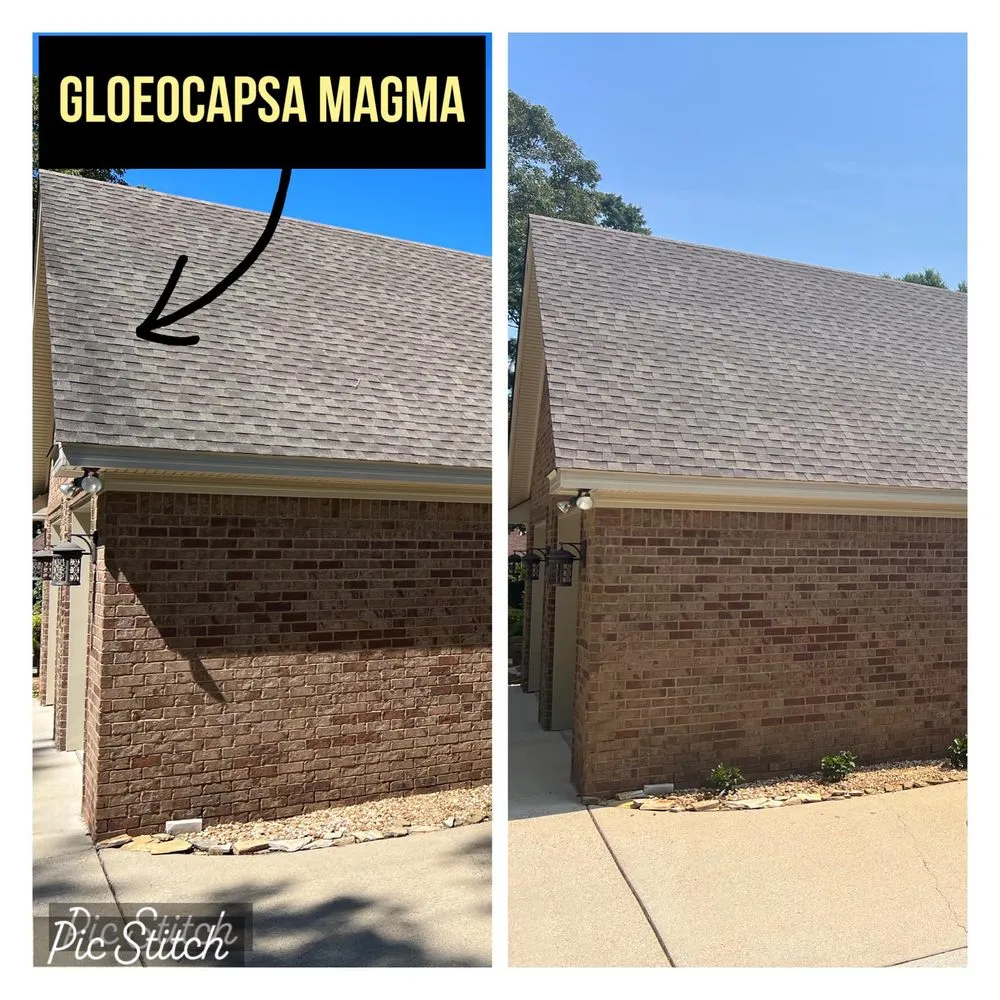 Slide of North West Fresh Roof