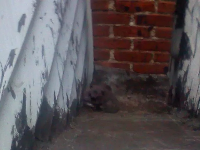 Slide of Northeast Complete Roofing Services