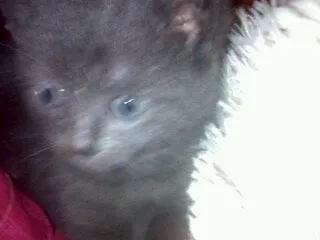 Slide of Northeast Complete Roofing Services