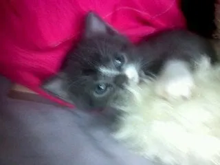 Slide of Northeast Complete Roofing Services