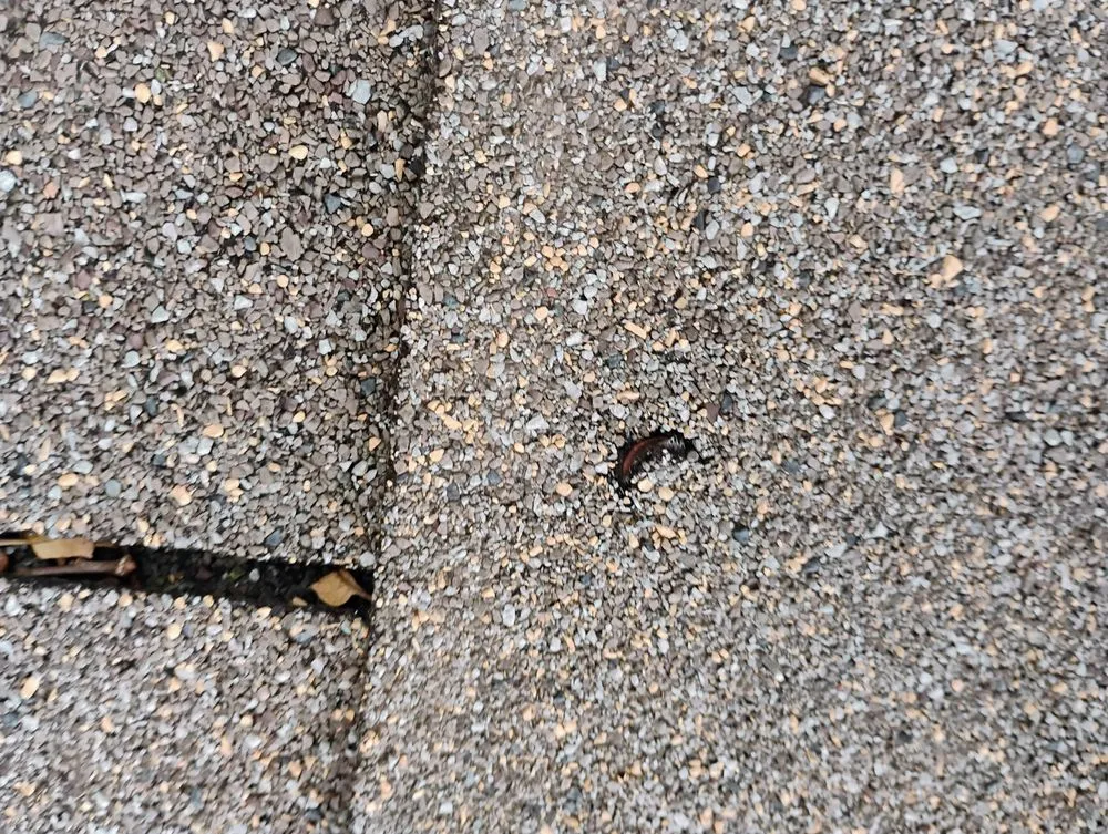 Slide of Northeast Home Services