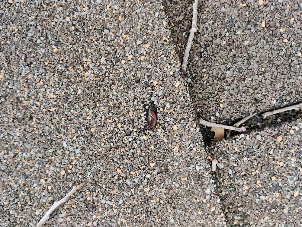 Slide of Northeast Home Services