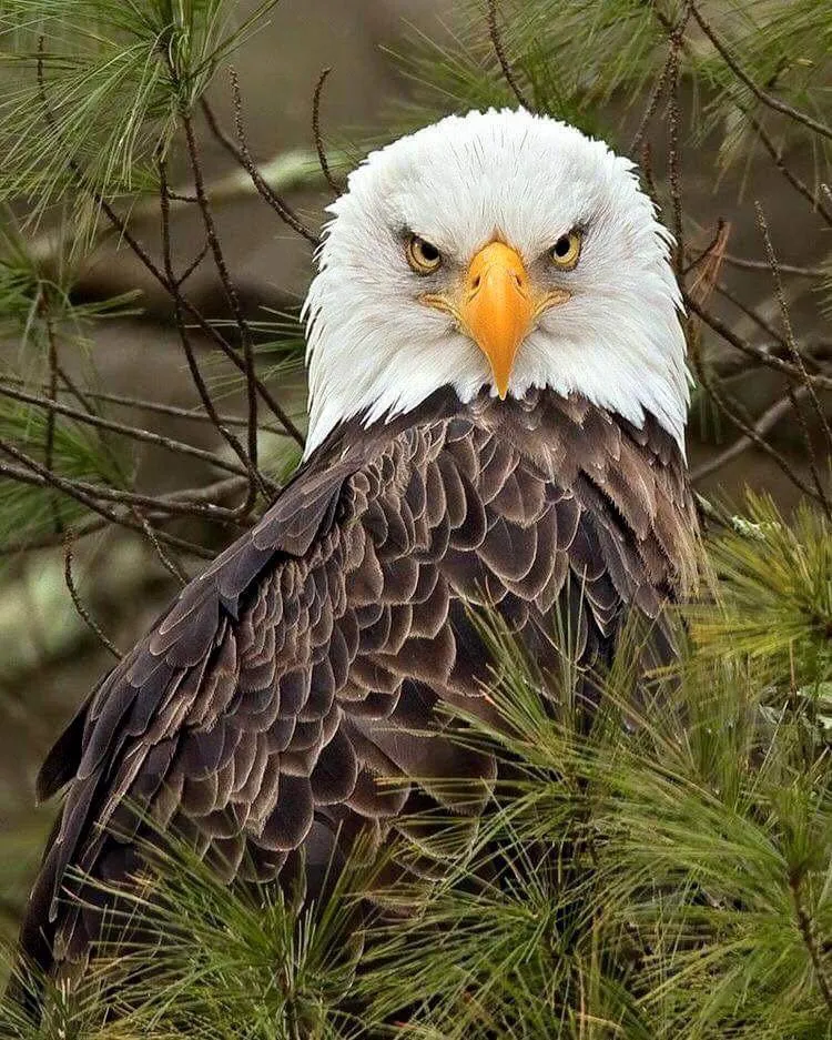Slide of Northeast Nebraska Energy Systems