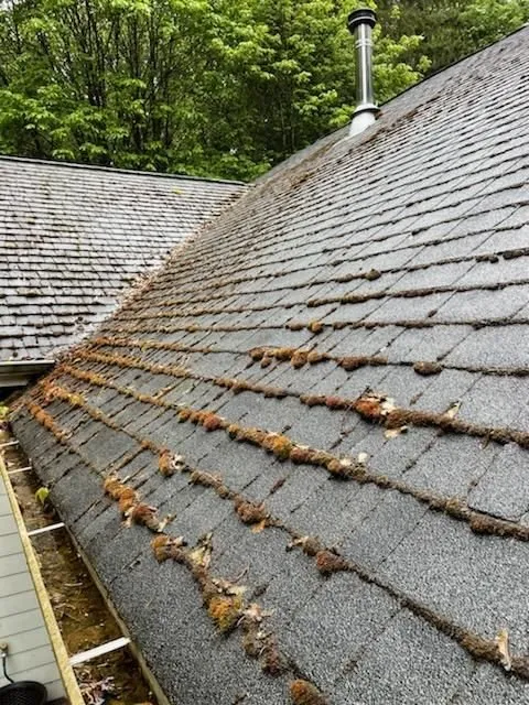 Slide of Northern Flow