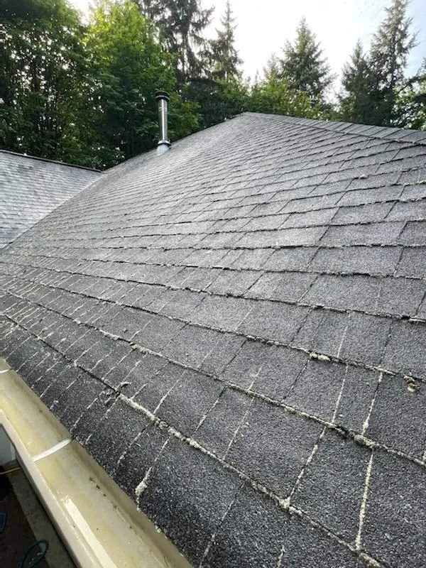 Slide of Northern Flow