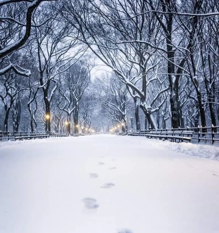 Slide of Northern Lights Roofing & Consulting