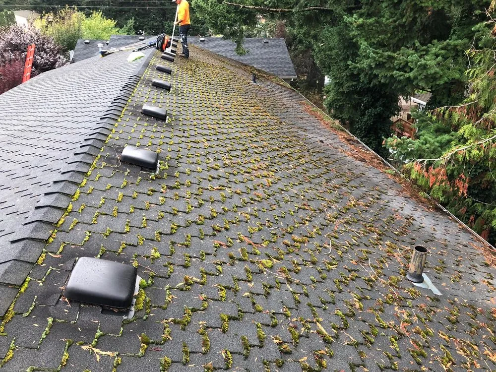 Slide of Northern Pacific Roofing & Construction