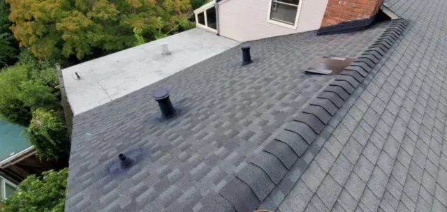 Slide of Northern Pacific Roofing