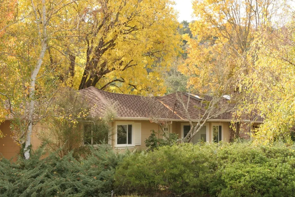 Slide of Northern Pacific Roofing