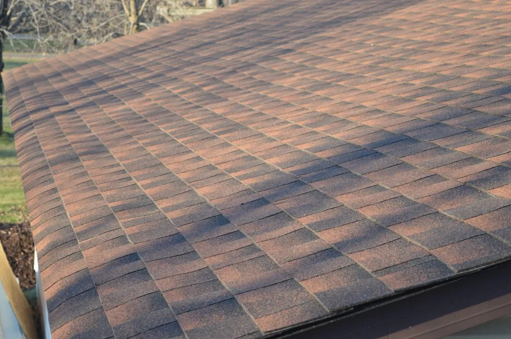 Slide of Northface Construction