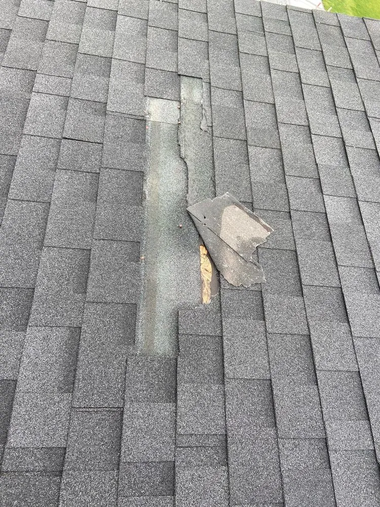 Slide of Northwest Renovation Services