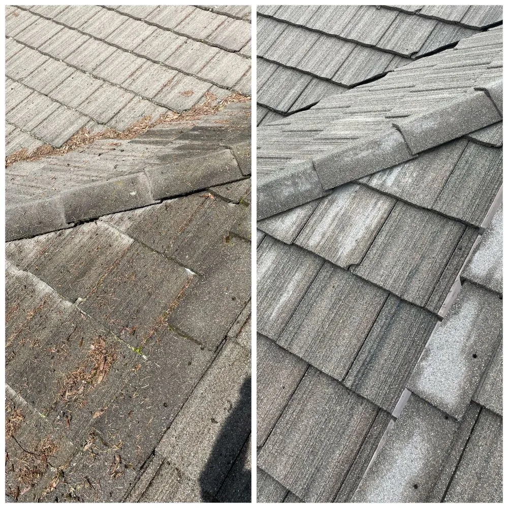Slide of Northwest Roof Maintenance
