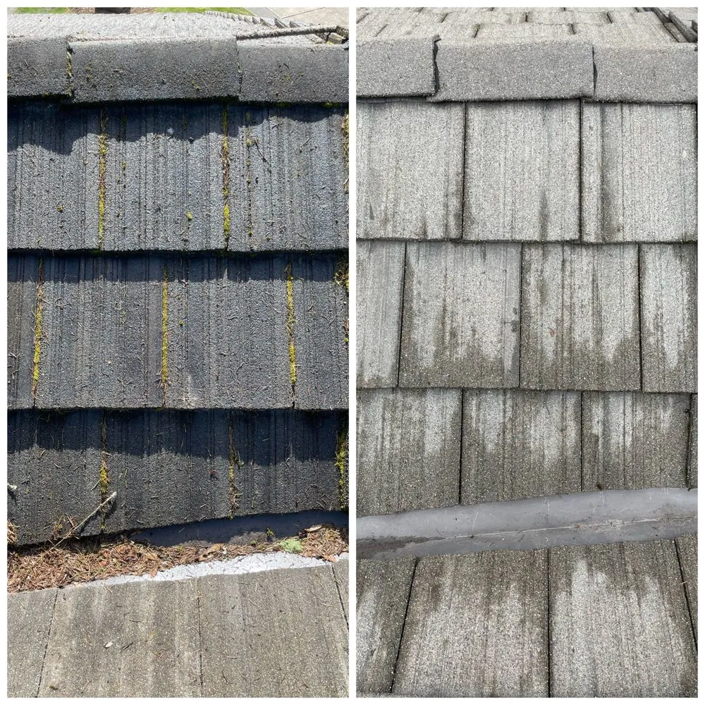Slide of Northwest Roof Maintenance